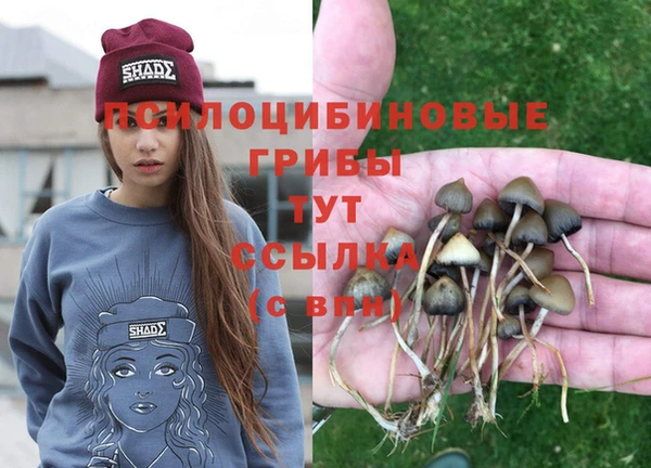 молекула духа Белоозёрский