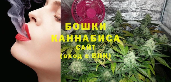 молекула духа Белоозёрский