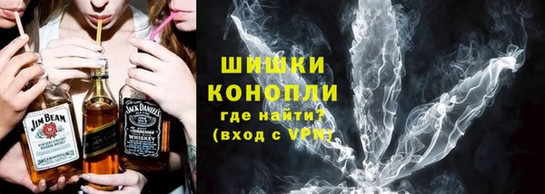 молекула духа Белоозёрский