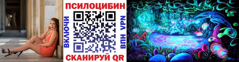 Купить где  Тихвин  Псилоцибиновые грибы Cubensis 